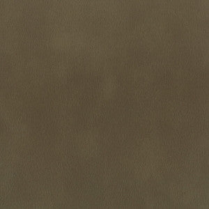Abbreviate 6 Truffle by Stout Fabric