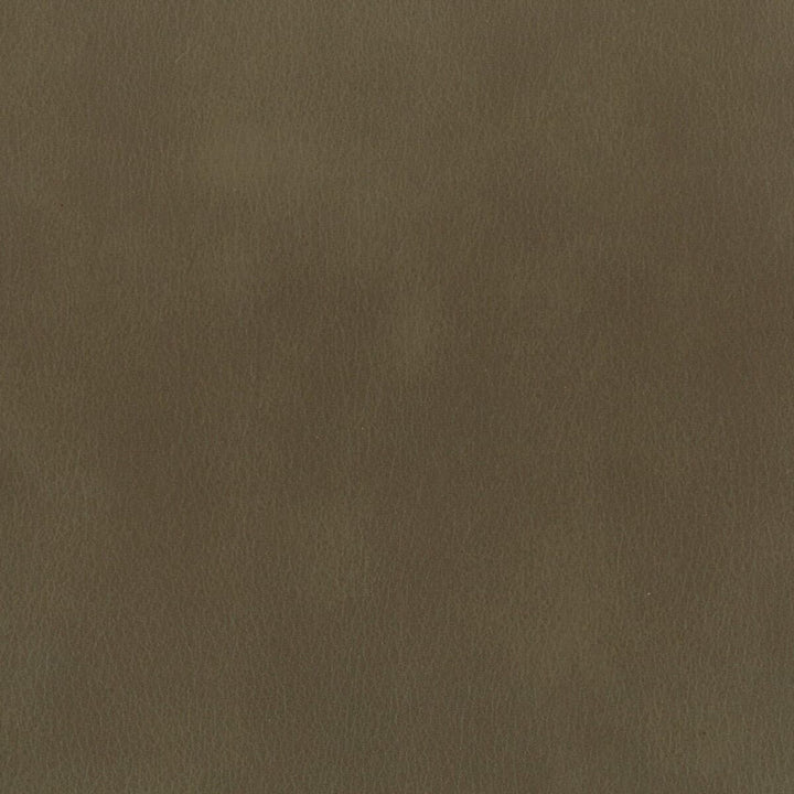 Abbreviate 6 Truffle by Stout Fabric LEATHER LOOKS II 100%OTH 9%OTH CHINA FLAME RETARDANT-U.F.A.C. CLASS 1 FLAME RETARDANT-N.F.P.A. 260A CLASS 1 CATB 117-2013 WYZENBEEK 100 000 DOUBLE RUB WEAR TEST (HEAVY DUTY) Horizontal: 0 and Vertical: 0 54 in - Fabric Carolina -