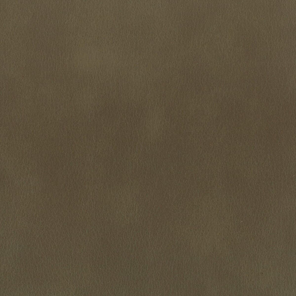 Abbreviate 6 Truffle by Stout Fabric LEATHER LOOKS II 100%OTH 9%OTH CHINA FLAME RETARDANT-U.F.A.C. CLASS 1 FLAME RETARDANT-N.F.P.A. 260A CLASS 1 CATB 117-2013 WYZENBEEK 100 000 DOUBLE RUB WEAR TEST (HEAVY DUTY) Horizontal: 0 and Vertical: 0 54 in - Fabric Carolina -
