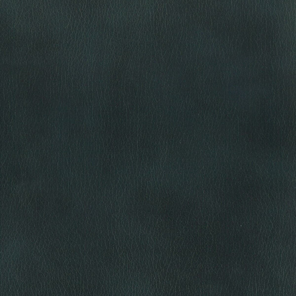 Abbreviate 7 Ink by Stout Fabric LEATHER LOOKS II 100%OTH 9%OTH CHINA FLAME RETARDANT-U.F.A.C. CLASS 1 FLAME RETARDANT-N.F.P.A. 260A CLASS 1 CATB 117-2013 WYZENBEEK 100 000 DOUBLE RUB WEAR TEST (HEAVY DUTY) Horizontal: 0 and Vertical: 0 54 in - Fabric Carolina -