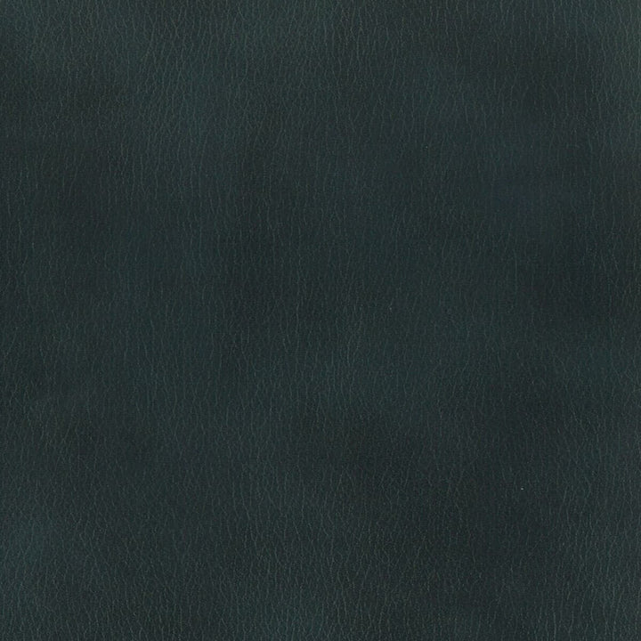 Abbreviate 7 Ink by Stout Fabric LEATHER LOOKS II 100%OTH 9%OTH CHINA FLAME RETARDANT-U.F.A.C. CLASS 1 FLAME RETARDANT-N.F.P.A. 260A CLASS 1 CATB 117-2013 WYZENBEEK 100 000 DOUBLE RUB WEAR TEST (HEAVY DUTY) Horizontal: 0 and Vertical: 0 54 in - Fabric Carolina -