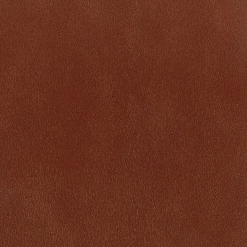 Abbreviate 8 Chestnut by Stout Fabric LEATHER LOOKS II 100%OTH 9%OTH CHINA FLAME RETARDANT-U.F.A.C. CLASS 1 FLAME RETARDANT-N.F.P.A. 260A CLASS 1 CATB 117-2013 WYZENBEEK 100 000 DOUBLE RUB WEAR TEST (HEAVY DUTY) Horizontal: 0 and Vertical: 0 54 in - Fabric Carolina -