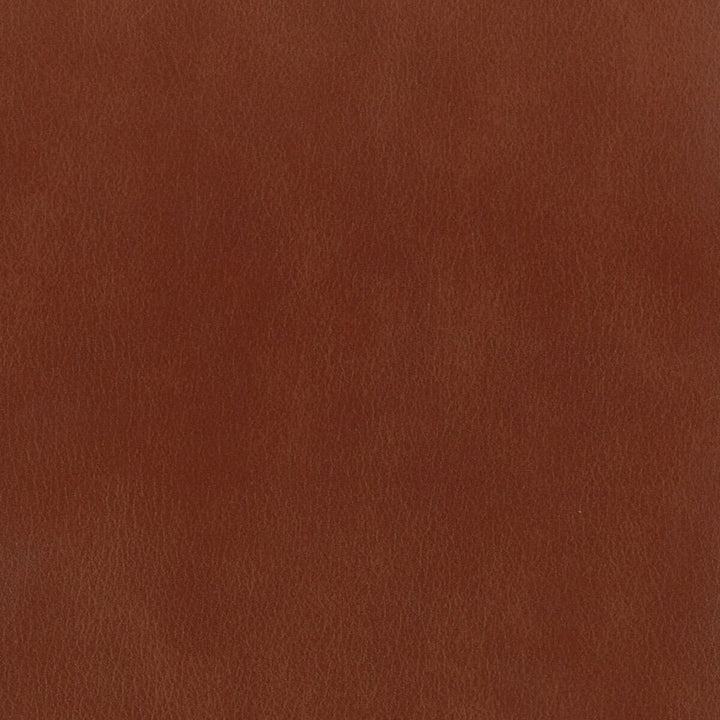 Abbreviate 8 Chestnut by Stout Fabric LEATHER LOOKS II 100%OTH 9%OTH CHINA FLAME RETARDANT-U.F.A.C. CLASS 1 FLAME RETARDANT-N.F.P.A. 260A CLASS 1 CATB 117-2013 WYZENBEEK 100 000 DOUBLE RUB WEAR TEST (HEAVY DUTY) Horizontal: 0 and Vertical: 0 54 in - Fabric Carolina -