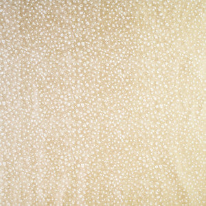 Abilene 5 Sandstone by Marcus William Fabric