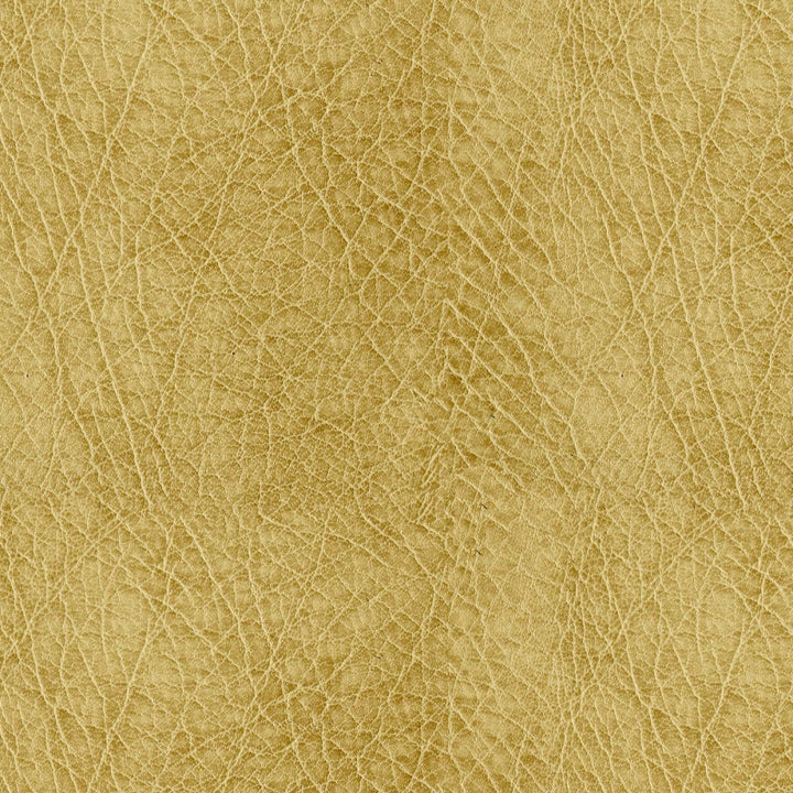 Houston 606 Hoiney by ABBEYSHEA Designer Fabric N/A 100% Polyester China 125,000 Double Rubs </p><p>Repeat: Horizontal: and Vertical: 55" (140 cm) - Swanky Fabrics -