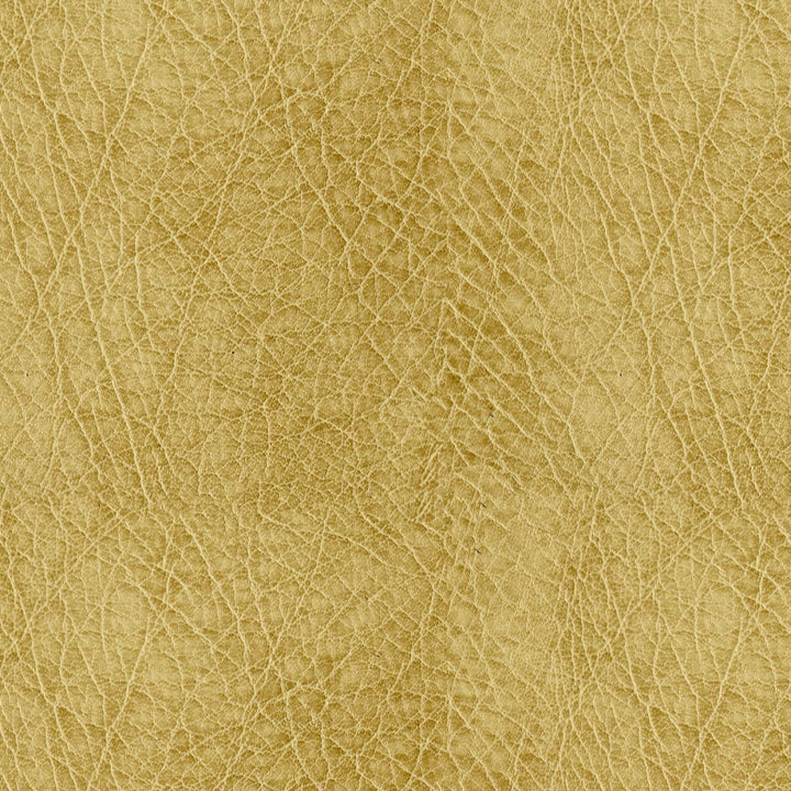 Houston 606 Hoiney by ABBEYSHEA Fabric N/A 100% Polyester China 125,000 Double Rubs </p><p>Repeat: Horizontal: and Vertical: 55" (140 cm) - Fabric Carolina -