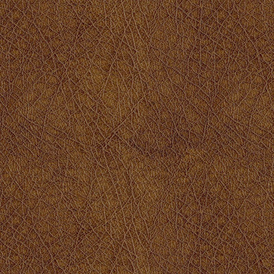 Houston 8009 Amber by ABBEYSHEA Fabric N/A 100% Polyester China 125,000 Double Rubs </p><p>Repeat: Horizontal: and Vertical: 55" (140 cm) - Fabric Carolina -