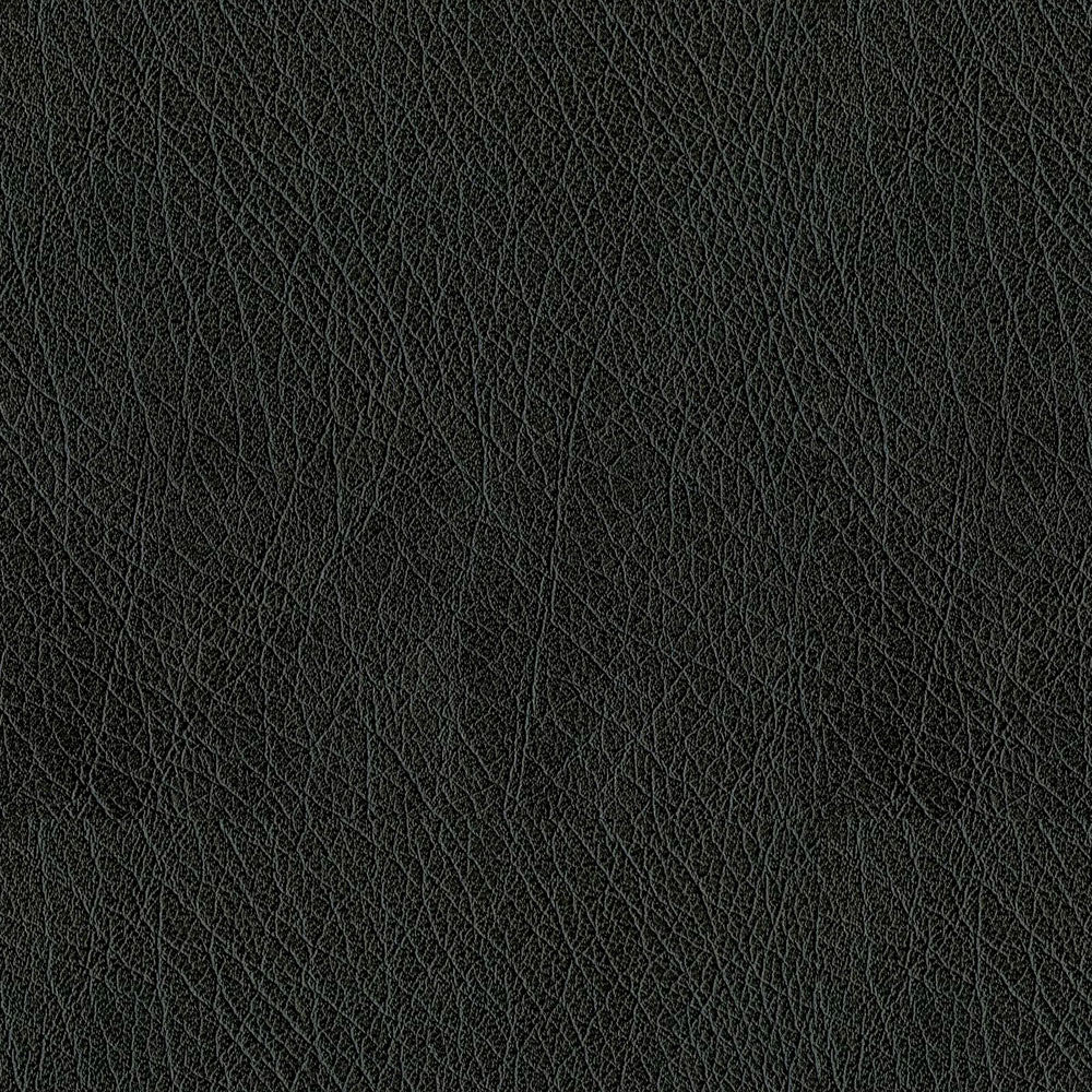 Houston 9009 Black by ABBEYSHEA Fabric 100% Polyurethane (PU) China 515,000 Double Rubs (Wyzenbeek) </p><p>Repeat: Horizontal: and Vertical: 54" (137 cm) - Fabric Carolina -