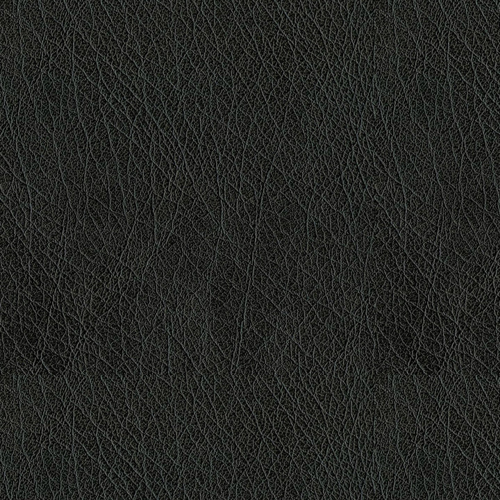 Houston 9009 Black by ABBEYSHEA Fabric 100% Polyurethane (PU) China 515,000 Double Rubs (Wyzenbeek) </p><p>Repeat: Horizontal: and Vertical: 54" (137 cm) - Fabric Carolina -