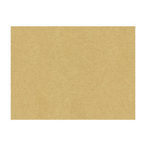 Abilene Dune by Kravet Contract Fabric