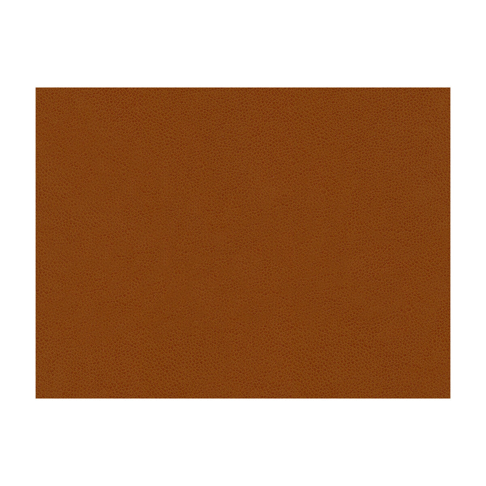 Abilene Penny by Kravet Contract Designer Fabric - POLYURETHANE - 100% China HEAVY Horizontal: - and Vertical: - 54 - Swanky Fabrics -