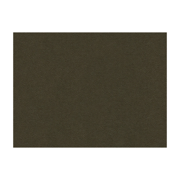 Abilene Stallion by Kravet Contract Fabric POLYURETHANE - 100% China HEAVY Horizontal: and Vertical: 54 - Fabric Carolina -