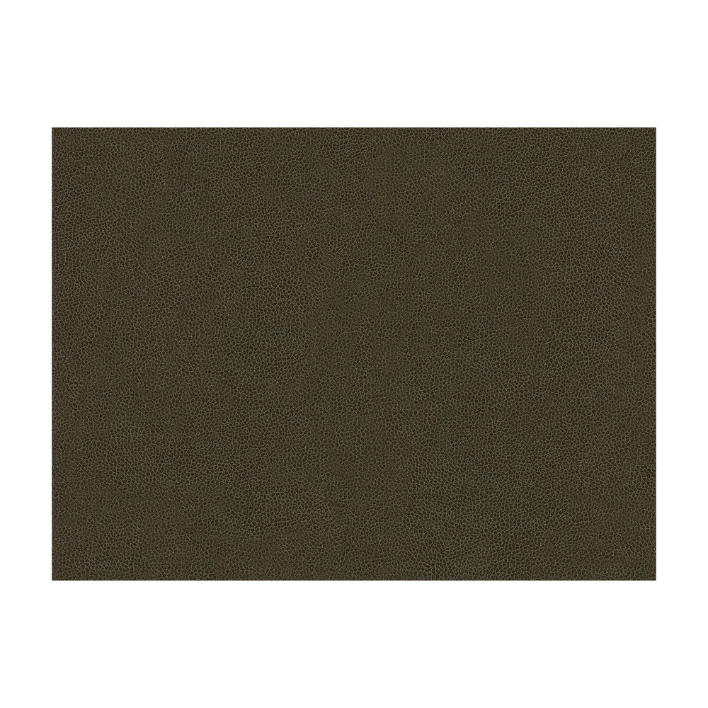 Abilene Stallion by Kravet Contract Fabric - POLYURETHANE - 100% China HEAVY Horizontal: - and Vertical: - 54 - Fabric Carolina -