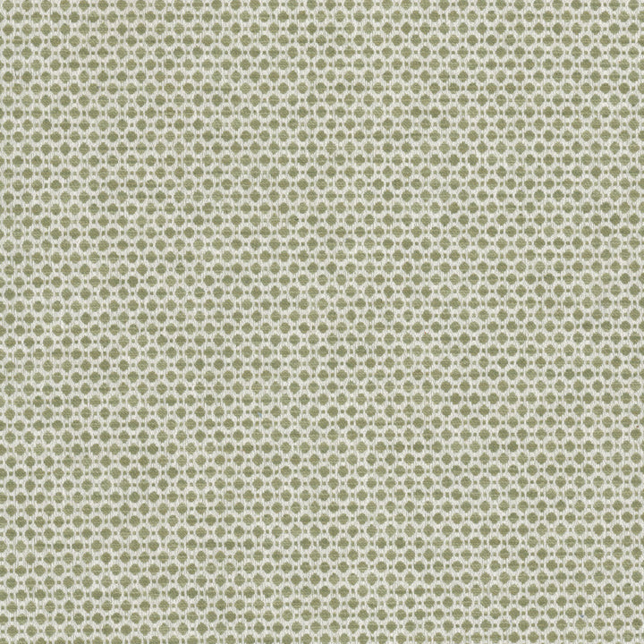 Abloom 2 Apple by Stout Fabric Stout Fabric Abloom 2 AppleFabric Living Is Easy Balsam/Bay 82%Pol 18%Cot India </p><p>Repeat: H: 0.75, V: 4.75 54 in - Fabric Carolina -