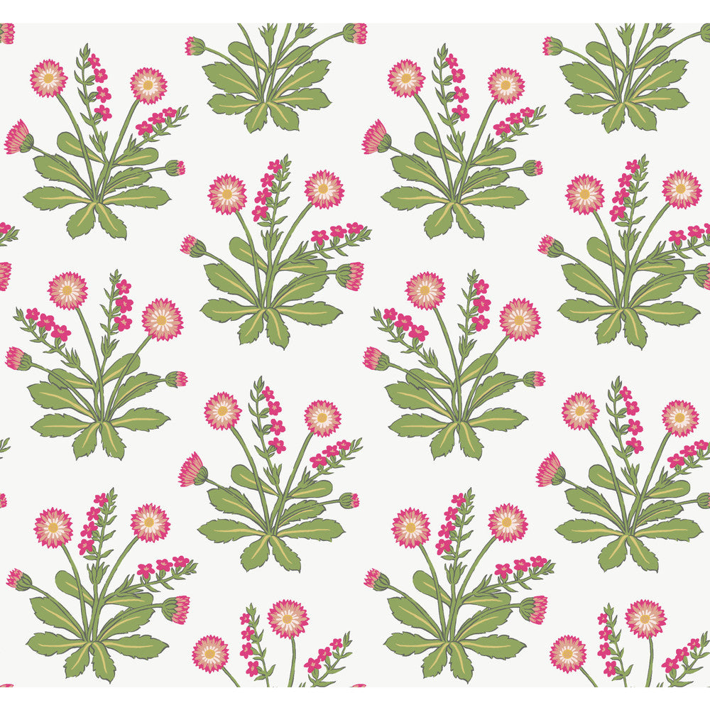 Meadow Flowers White & Rose Wallpaper by Ronald Redding Arts and Crafts Covers about 60.8 square feet 27-in by 27-ft long roll Unpasted 25.25 - Fabric Carolina -