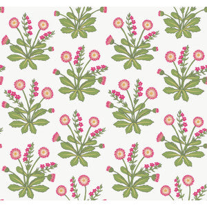 Meadow Flowers White & Rose Wallpaper by Ronald Redding