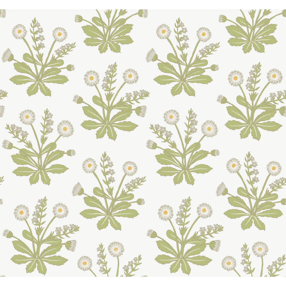 Meadow Flowers White Wallpaper by Ronald Redding Arts and Crafts Covers about 60.8 square feet 27-in by 27-ft long roll Unpasted 25.25 - Fabric Carolina -