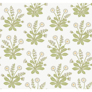 Meadow Flowers White Wallpaper by Ronald Redding