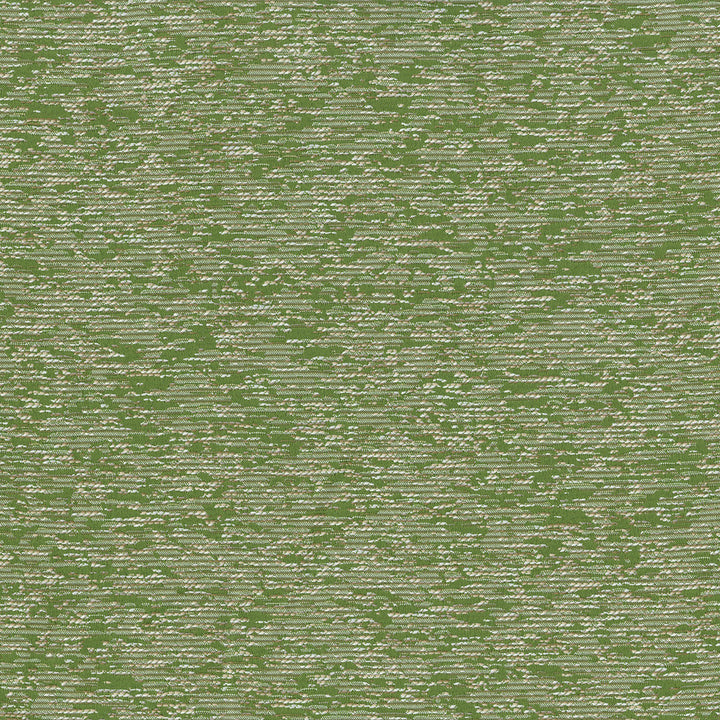 Savanna 21 Fern by SolarShade Fabric 100% Solution Dyed Polyester CN 20,000 Double Rubs (Wyzenbeek) </p><p>Repeat: Horizontal: 12.21 in. (31 cm) up the roll and Vertical: 14.78 in. (37.5 cm) across the roll 54 in. (137 cm) - Fabric Carolina -