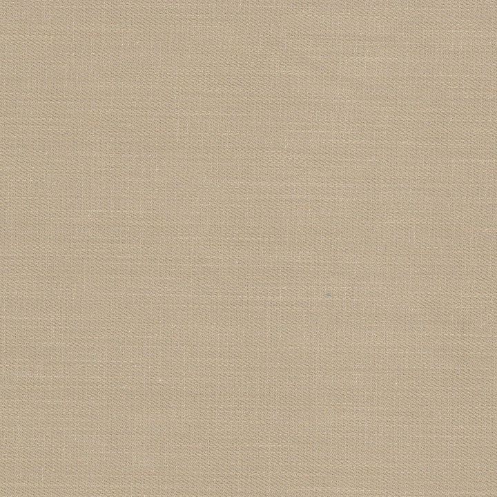 Acapulco 1 Taupe by Stout Fabric Stout Fabric Acapulco 1 TaupeFabric COMFORTABLE LIVING DOVE/MUSHROOM 100%COT CHINA </p><p>Repeat: H: 0.000, V: 0.000 54 in - Fabric Carolina -