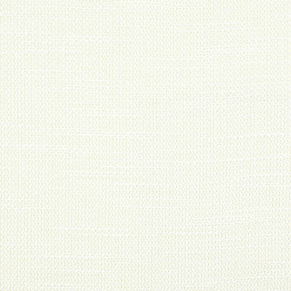 Accent 1 Pearl by Stout Fabric COLOR MY WINDOW NEUTRAL/MICA 100%POL TURKEY FLAME RETARDANT-N.F.P.A. 701 SMALL SCALE Horizontal: 0 and Vertical: 0 55 in - Fabric Carolina -
