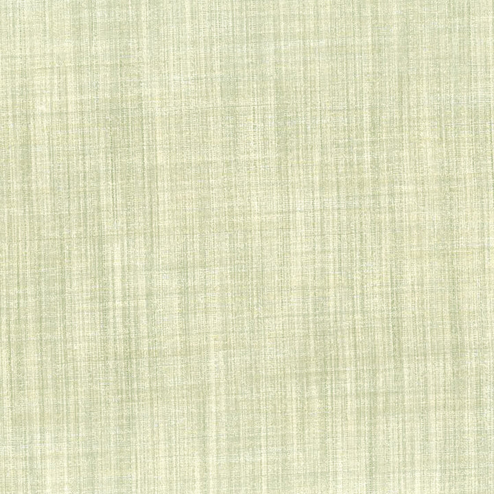 Accord 1 Driftwood by Stout Fabric COLOR MY WINDOW BIRCH/LINEN 100%POL INDIA WYZENBEEK 25 000 DOUBLE RUB WEAR TEST (HEAVY DUTY) FLAME RETARDANT-N.F.P.A. 701 SMALL SCALE Horizontal: 0 and Vertical: 0 55 in - Fabric Carolina -