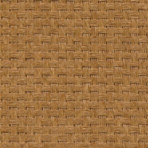 Accord Clay by Norbar Fabric EUPHORIA 100% CELLULOSE CHINA 54" - Fabric Carolina -