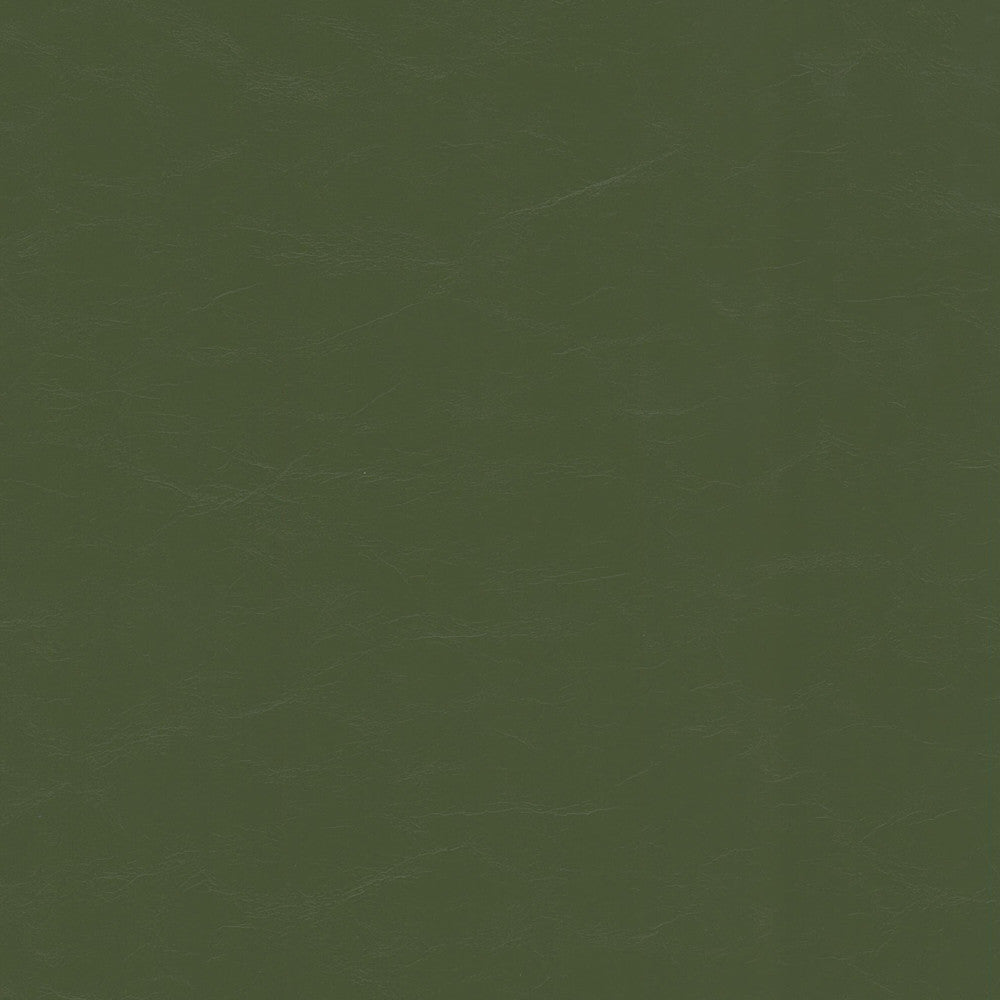 Accurate 1 Grass by Stout Fabric Stout Fabric Accurate 1 GrassFabric Leather Looks Vi 100%Pvc China </p><p>Repeat: H: 0, V: 13.5 54 in - Fabric Carolina -