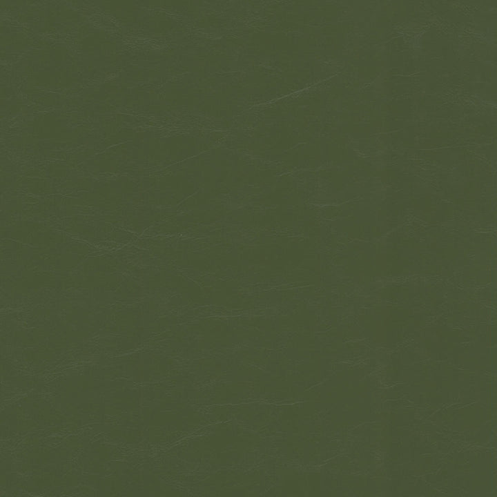 Accurate 1 Grass by Stout Fabric Stout Fabric Accurate 1 GrassFabric Leather Looks Vi 100%Pvc China </p><p>Repeat: H: 0, V: 13.5 54 in - Fabric Carolina -