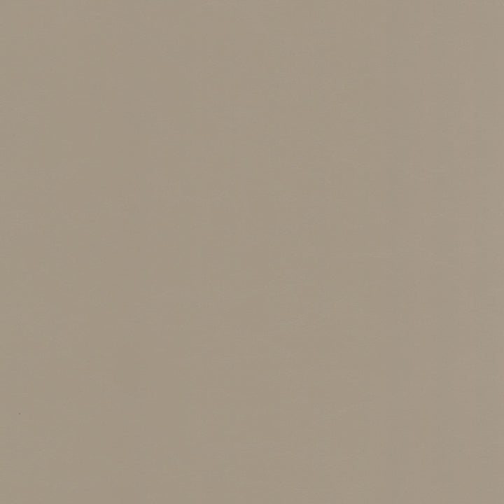 Accurate 2 Pumice by Stout Fabric Stout Fabric Accurate 2 PumiceFabric Leather Looks Vi 100%Pvc China </p><p>Repeat: H: 0, V: 32.5 54 in - Fabric Carolina -