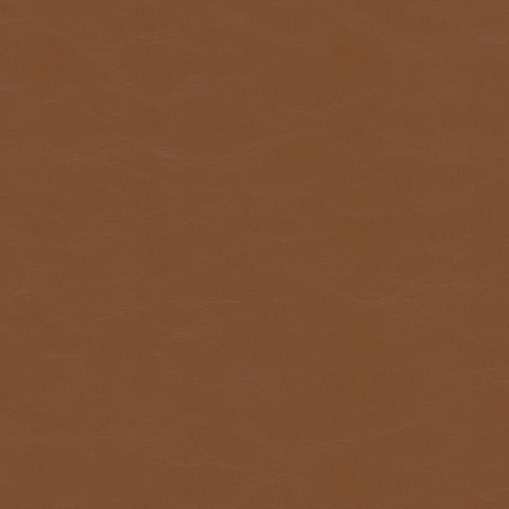 Accurate 3 Acorn by Stout Fabric Stout Fabric Accurate 3 AcornFabric Leather Looks Vi 100%Pvc China </p><p>Repeat: H: 0, V: 1.5 54 in - Fabric Carolina -