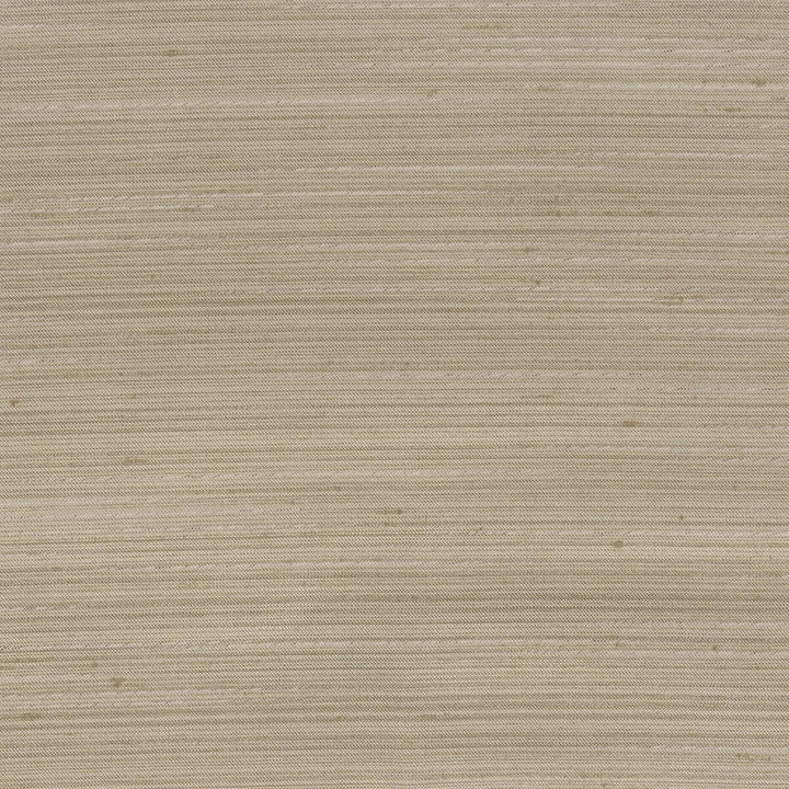 Achilles 12 Flint by Stout Fabric Color My Window Solids-Dove/Onyx 100% Polyester INDIA Horizontal: 0 and Vertical: 0 55 in - Fabric Carolina -