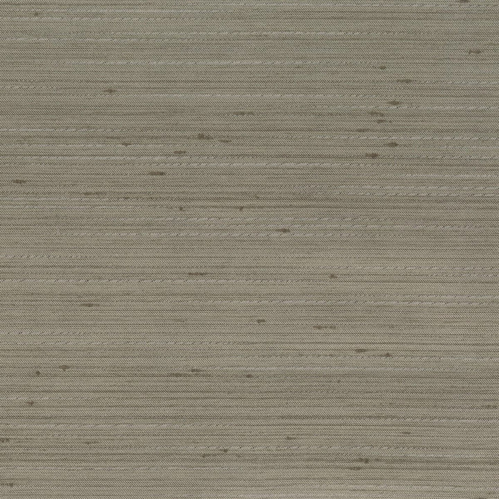 Achilles 15 Slate by Stout Fabric Color My Window Solids-Dove/Onyx 100% Polyester INDIA Horizontal: 0 and Vertical: 0 55 in - Fabric Carolina -
