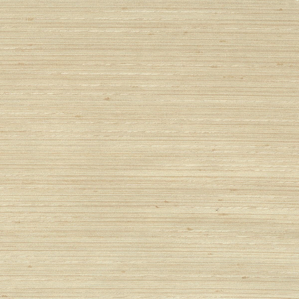 Achilles 19 Beige by Stout Fabric Beautiful Accents 100% Polyester INDIA Horizontal: 0 and Vertical: 0 55 in - Fabric Carolina -