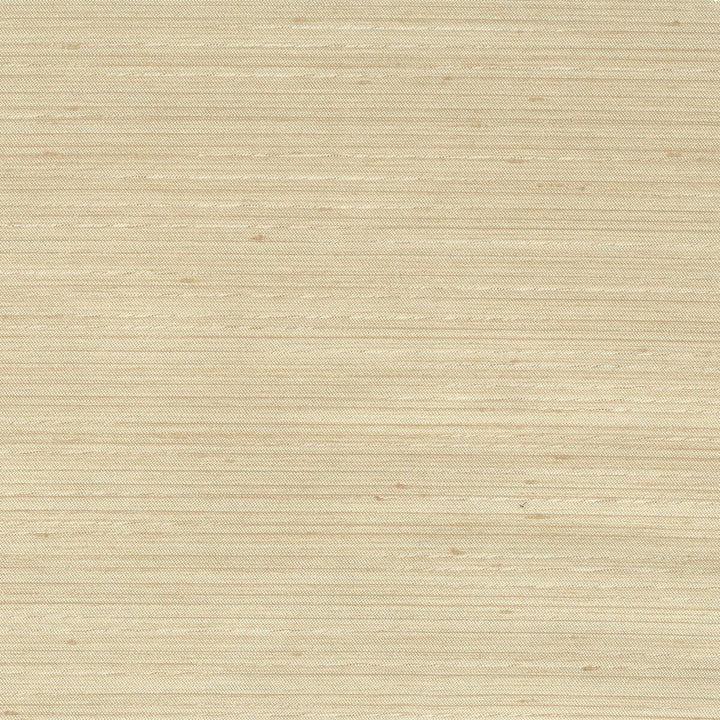 Achilles 19 Beige by Stout Fabric Beautiful Accents 100% Polyester INDIA Horizontal: 0 and Vertical: 0 55 in - Fabric Carolina -