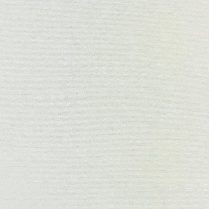 Achilles 1 Cream by Stout Fabric COLOR MY WINDOW FROST/PEARL 100%POL INDIA Horizontal: 0 and Vertical: 0 55 in - Fabric Carolina -