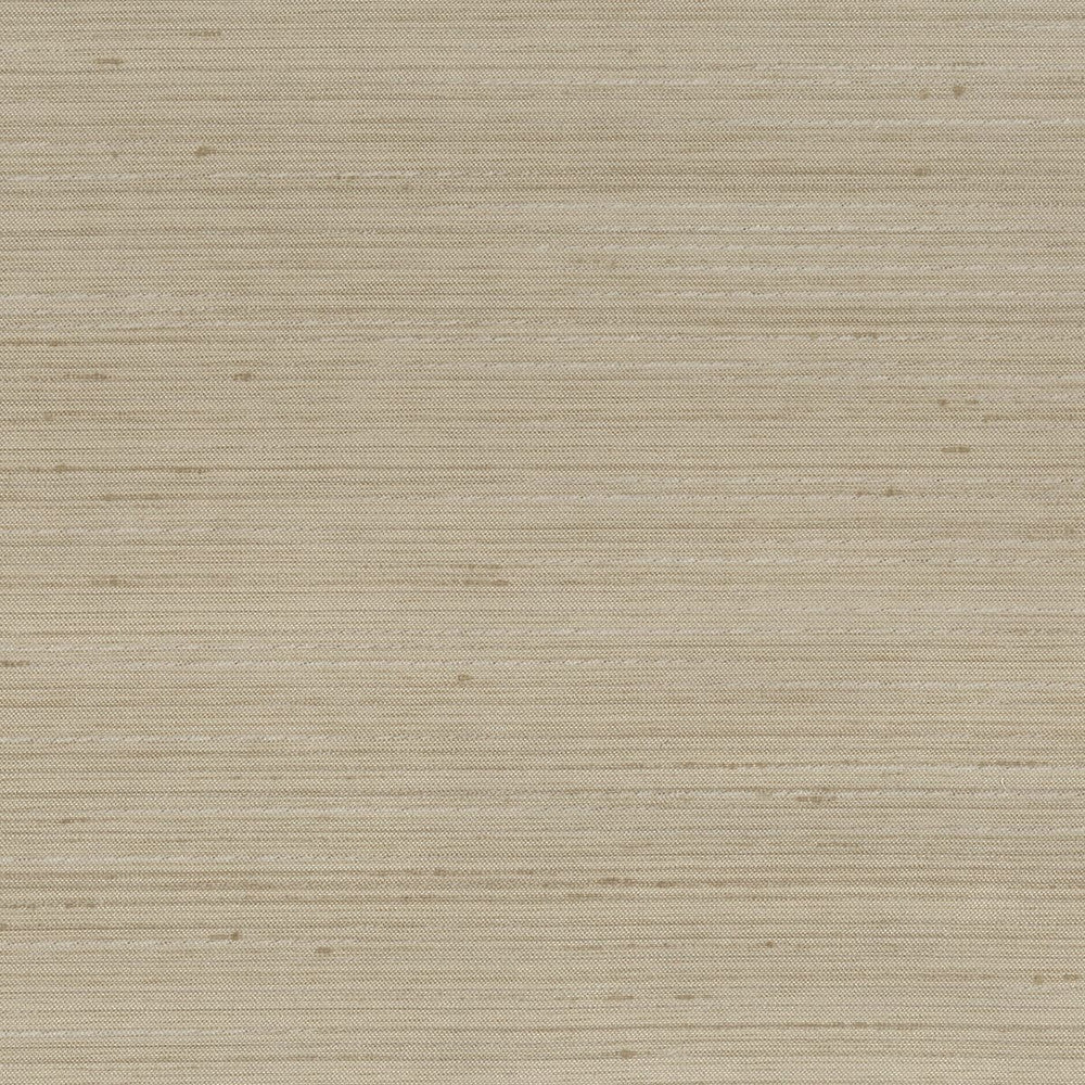 Achilles 20 Mushroom by Stout Fabric BEAUTIFUL ACCENTS 100%POL INDIA Horizontal: 0 and Vertical: 0 55 in - Fabric Carolina -