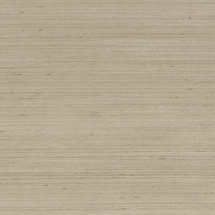 Achilles 20 Mushroom by Stout Fabric BEAUTIFUL ACCENTS 100%POL INDIA Horizontal: 0 and Vertical: 0 55 in - Fabric Carolina -