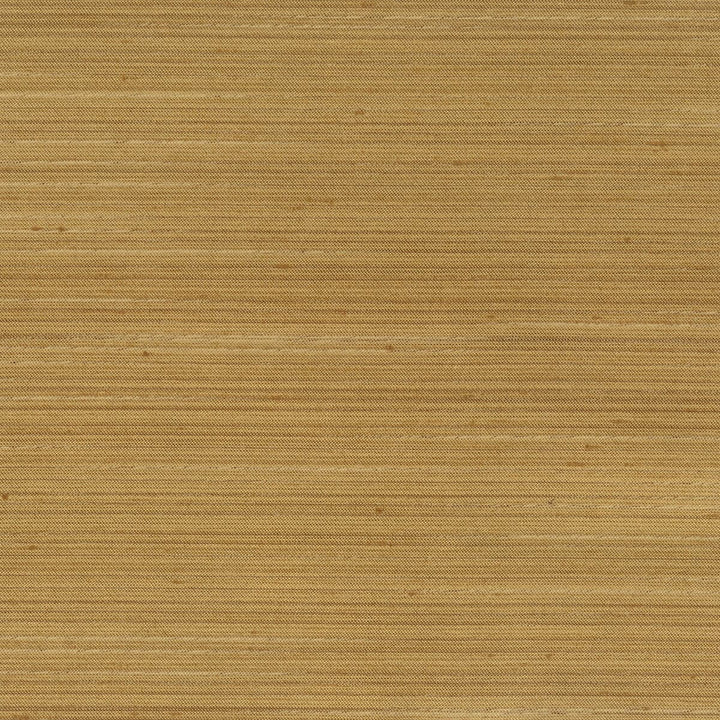 Achilles 3 Topaz by Stout Fabric COLOR MY WINDOW ALABASTER/PARCHMENT 100%POL INDIA Horizontal: 0 and Vertical: 0 55 in - Fabric Carolina -