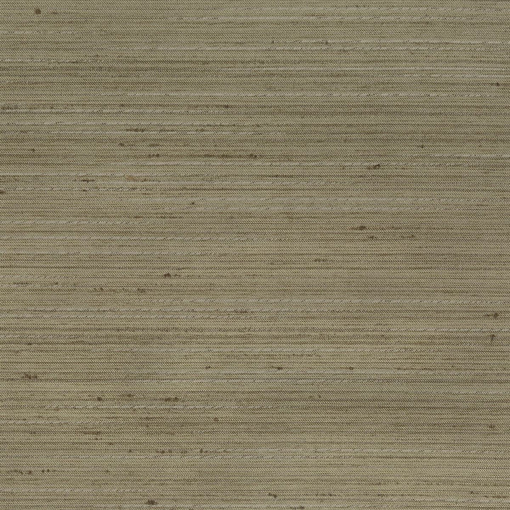Achilles 8 Dusk by Stout Fabric COLOR MY WINDOW ASH/SMOKE 100%POL INDIA Horizontal: 0 and Vertical: 0 55 in - Fabric Carolina -