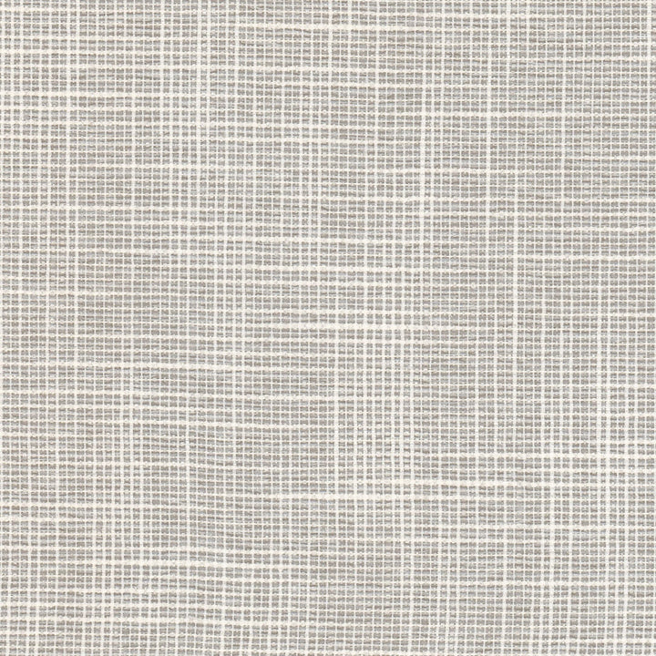 Acorn 1 Platinum by Stout Fabric LIVING IS EASY GREY/SLATE 65%SVI 35%POL USA Horizontal: 0.000 and Vertical: 0.000 54 in - Fabric Carolina -