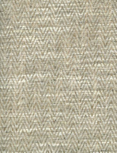 Action Harvest 127 by Norbar Fabric HOPE II 100% POLYESTER INDIA 1/2"V 3/4"H 54 - Fabric Carolina -