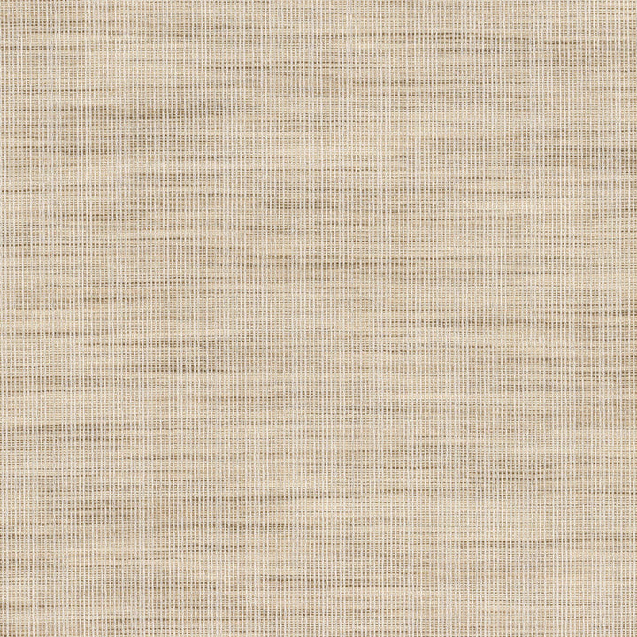 Adair 2 Raffia by Stout Fabric Stout Fabric Adair 2 RaffiaFabric COLOR MY WINDOW PEWTER/TAUPE 100%POL INDIA </p><p>Repeat: H: 0.000, V: 0.000 54.5 in - Fabric Carolina -