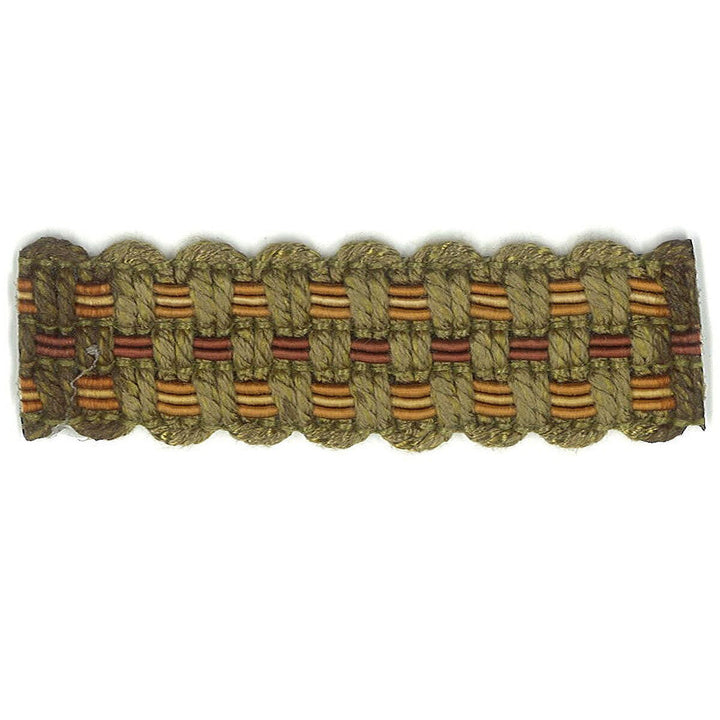 Adapt 39 Autumn by Stout Designer Trim Art Of Design Trim-2 Tapes 100% Spun Viscose CHINA Horizontal: 0 and Vertical: 0 0.88 in - Swanky Fabrics -