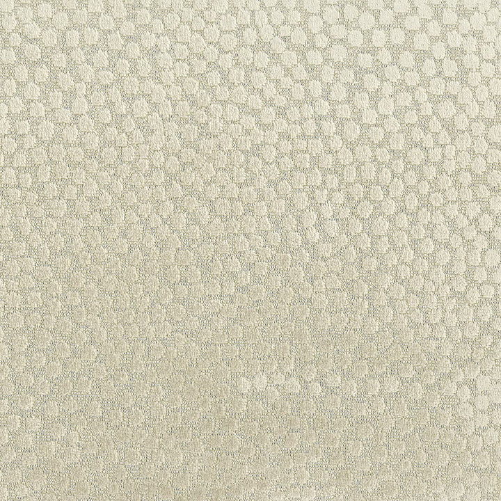 Address 1 Dove by Stout Fabric COMFORTABLE LIVING SMOKE/PEWTER 100%POL CHINA CATB 117-2013 WYZENBEEK 60 000 DOUBLE RUB WEAR TEST (HEAVY DUTY) Horizontal: 4.75 and Vertical: 3.375 55 in - Fabric Carolina -