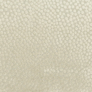 Address 1 Dove by Stout Fabric