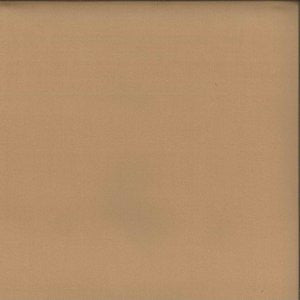 Adler Doe 80 by Norbar Fabric See Sample 100% POLYESTER TURKEY 45,000 MARTINDALE 59" - Fabric Carolina -