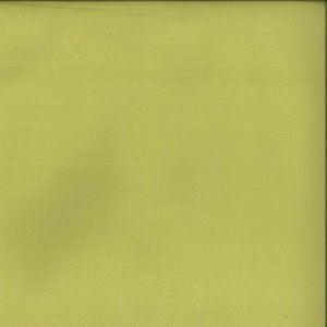 Adler Lime 220 by Norbar Fabric See Sample 100% POLYESTER TURKEY 45,000 MARTINDALE 59" - Fabric Carolina -