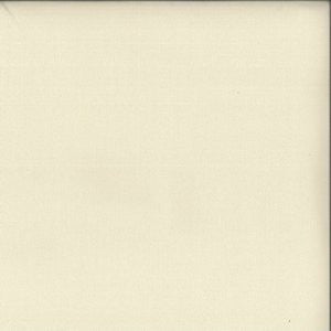 Adler Natural 20 by Norbar Fabric See Sample 100% POLYESTER TURKEY 45,000 MARTINDALE 59" - Fabric Carolina -