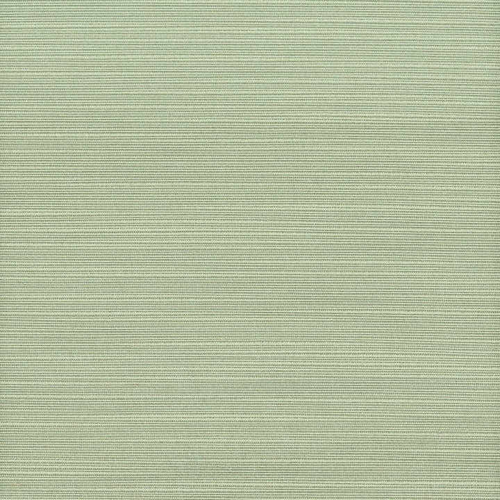 Admire 12 Sage by Stout Fabric SATIN SPLENDOR 100%POL INDIA FLAME RETARDANT-N.F.P.A. 701 SMALL SCALE MARTINDALE WEAR TEST (15 000 CIRCULAR RUBS) Horizontal: 0 and Vertical: 0 55 in - Fabric Carolina -